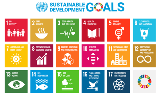 Sustainable development goals